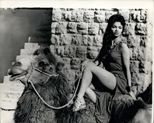 Alonzo: 1950-1959 Actor - Actress