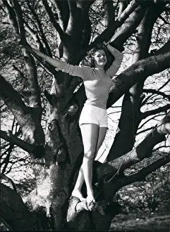 Shapely: 1950-1959 Actor - Actress