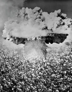 Wiped: 1950s 1960s Atomic Bomb Symbolic