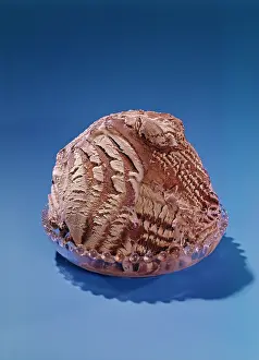 Frt001: 1950s 1960s dish of chocolate swirl
