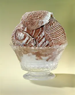 Ripple: 1950s 1960s dish of chocolate vanilla ripple