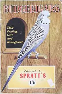Budgerigars: 1950s, 1960s, Spratt's Budgerigars, book, pets