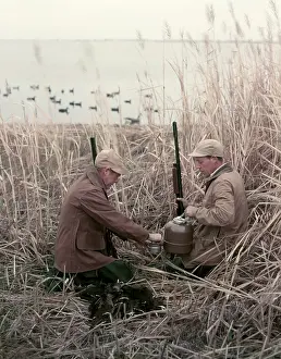 Shotguns: 1950s 2 Men Hunters Tall Grass