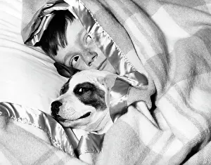Mutt: 1950s BOY HIDING UNDER BLANKET IN BED WITH DOG