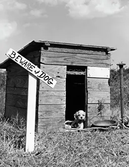 Doghouse: 1950s COCKER SPANIEL PUPPY IN DOGHOUSE WITH BEWARE