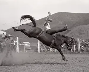 Poly: 1950s Cowboy Bronco Buster Riding