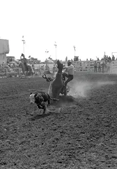 Roping: 1950s Cowboy Calf Roping Just