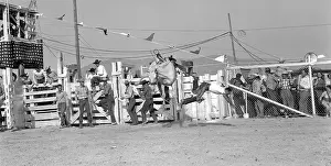 Barstow: 1950s Cowboy Falling Off White