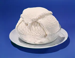 Frt001: 1950s dish of vanilla