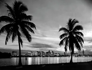 Biscayne: 1950s Miami Florida Skyline At