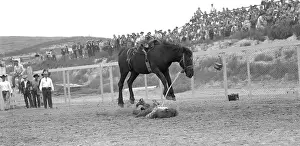 1950s Rodeo Cowboy On The Ground