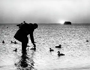 Gunning: 1950s Silhouetted Man In Sunrise