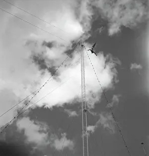 Egx001: 1950s Woman Diving From High Circus