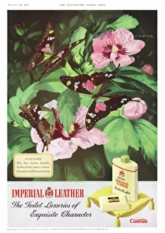 Soaps: 1951 UK advert Imperial Leather