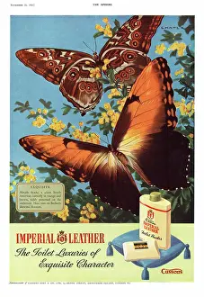 Soaps: 1951 UK advert Imperial Leather