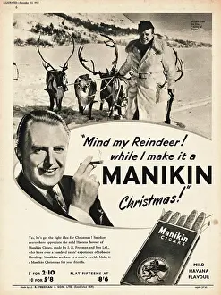 Manikin: 1951 UK advert Manikin cigars