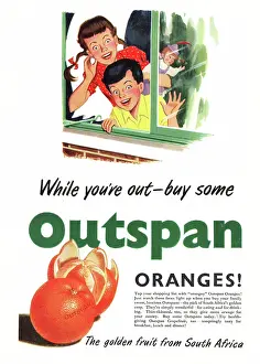 Grapefruit: 1951 UK advert Outspan oranges