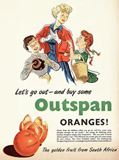 Grapefruit: 1951 UK advert Outspan oranges