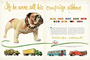 Busses: 1951 U.S Magazine Mac Trucks Advert