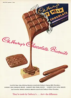 Confectionary: 1952 UK advert Cadbury's chocolate biscuits