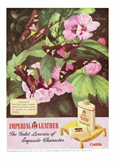 Soaps: 1952 UK advert Imperial Leather
