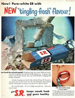 Gums: 1953 UK advert SR tooth paste