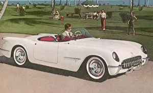 Corvette: 1954 Corvette