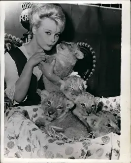 Fuss: 1960-1969 Actor - Actress