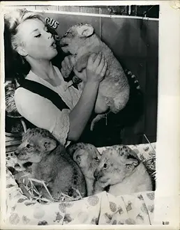 Elke: 1960-1969 Actor - Actress
