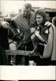 Filly: 1960-1969 Actor - Actress