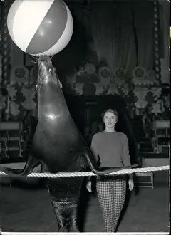 Seberg: 1960-1969 Actor - Actress