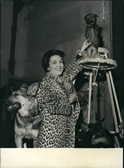 Lasso: 1960-1969 Actor - Actress