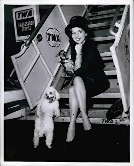 Conscious: 1960-1969 Actor - Actress