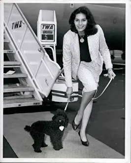 Leash: 1960-1969 Actor - Actress