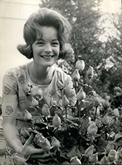 Romy: 1960-1969 Actor - Actress