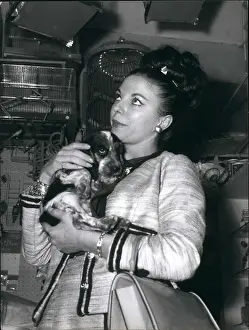 Cocker: 1960-1969 Actor - Actress