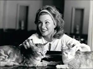 Purdom: 1960-1969 Actor - Actress