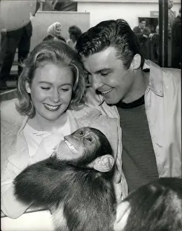 Lulu: 1960-1969 Actor - Actress
