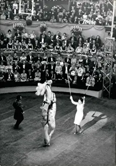 Cirque: 1960-1969 Actor - Actress