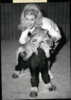Scowl: 1960-1969 Actor - Actress