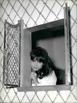 Dalia: 1960-1969 Actor - Actress