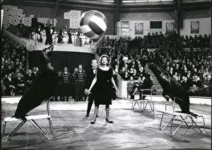 Tiller: 1960-1969 Actor - Actress