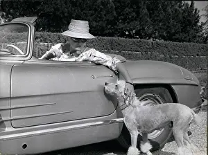Doberman: 1960-1969 Actor - Actress