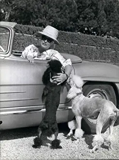 Doberman: 1960-1969 Actor - Actress