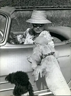 Doberman: 1960-1969 Actor - Actress