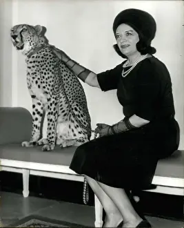 Vamp: 1960-1969 Actor - Actress