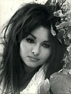 Acquaintance: 1960-1969 Actor - Actress