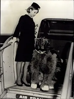 Gangway: 1960-1969 Actor - Actress