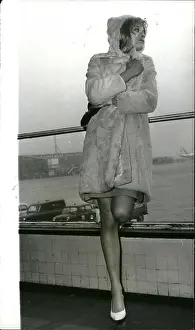 Kaleidoscope: 1960-1969 Actor - Actress