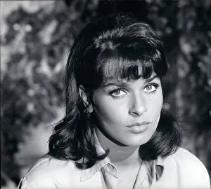 Senta: 1960-1969 Actor - Actress